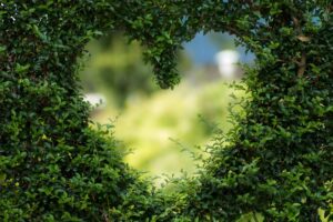 HOW TO MAKE YOUR GARDEN SUMMER READY